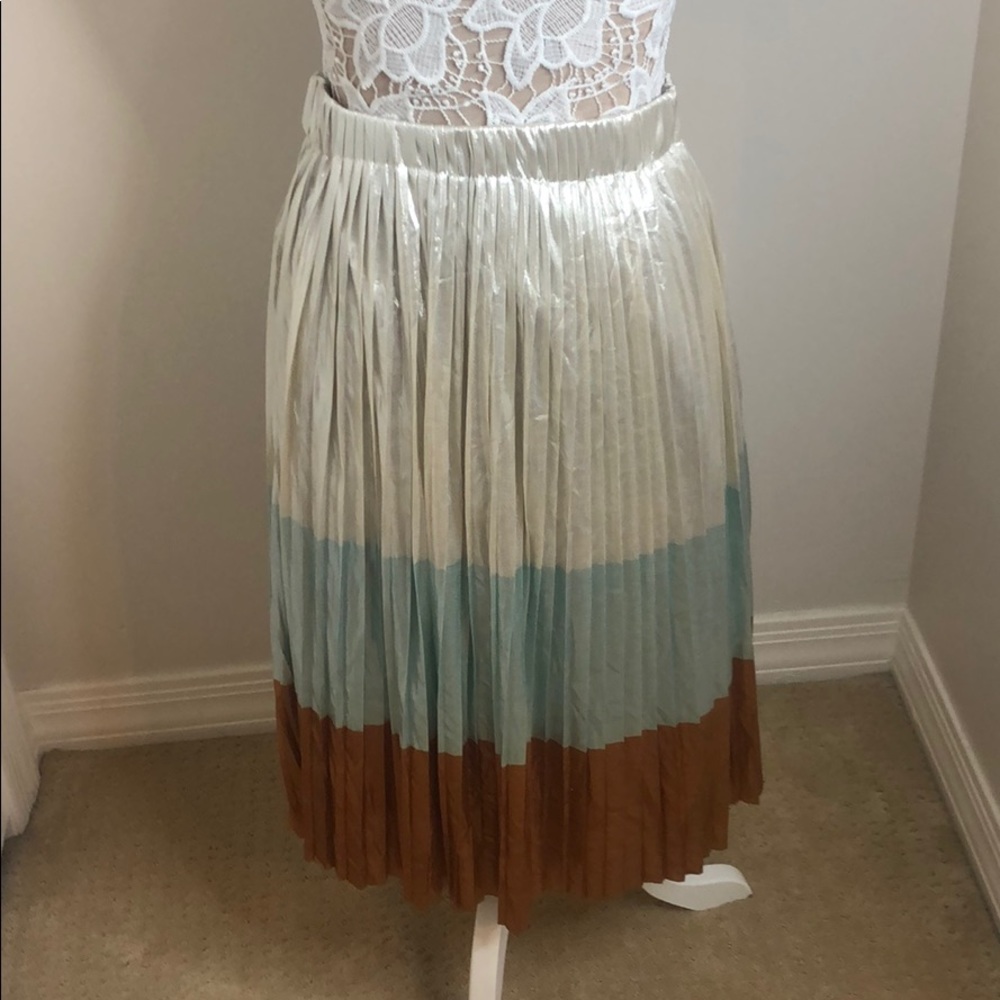 Zara pleaded skirt
